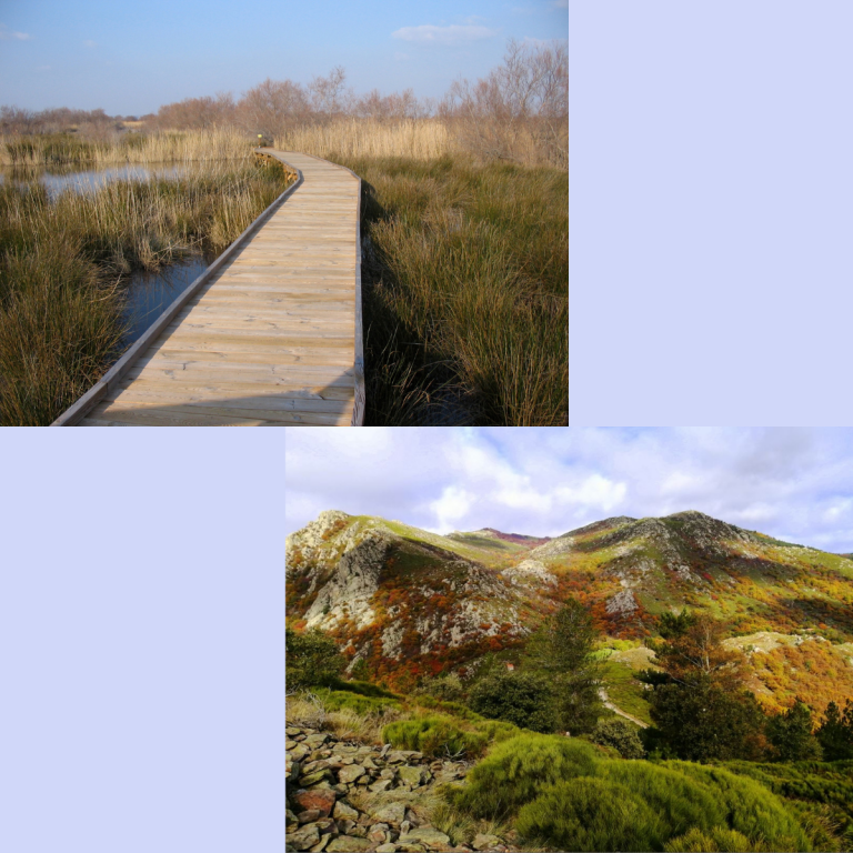 Camargue et Cévennes